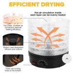 WhatsApp Image 2025-06-12 at 8.07.02 AM (1)